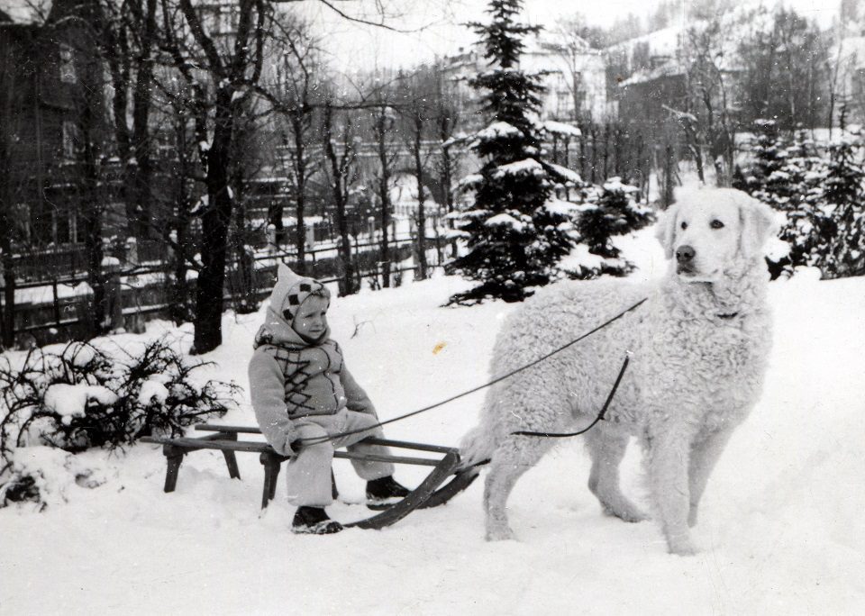 vintage winter photo