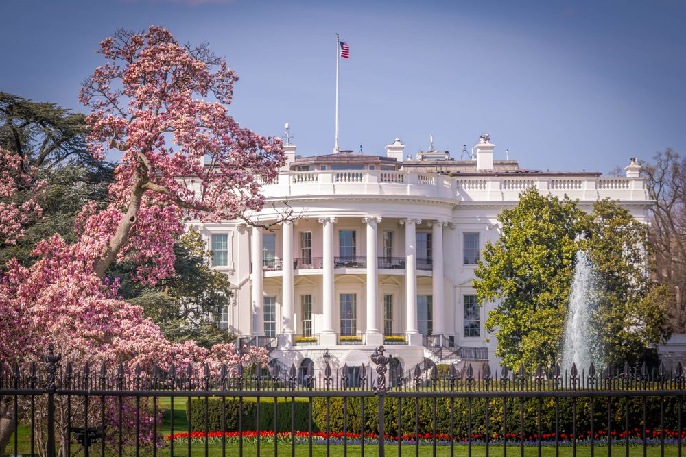 white house