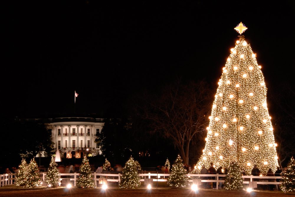 White House Christmas