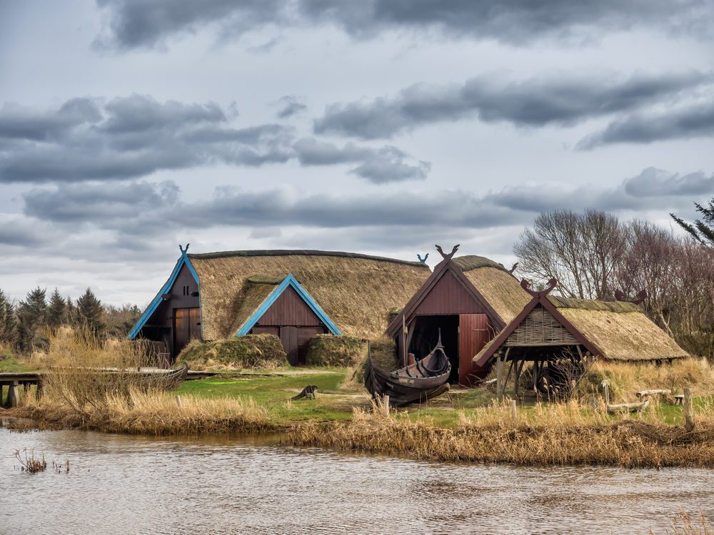 vikings