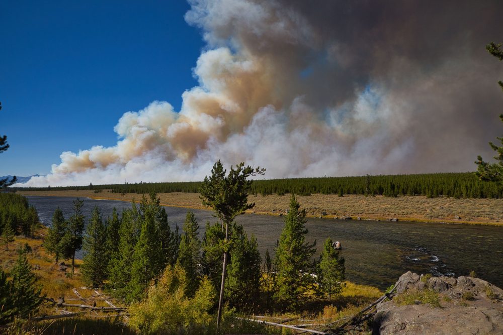 Yellowstone expensive mistake
