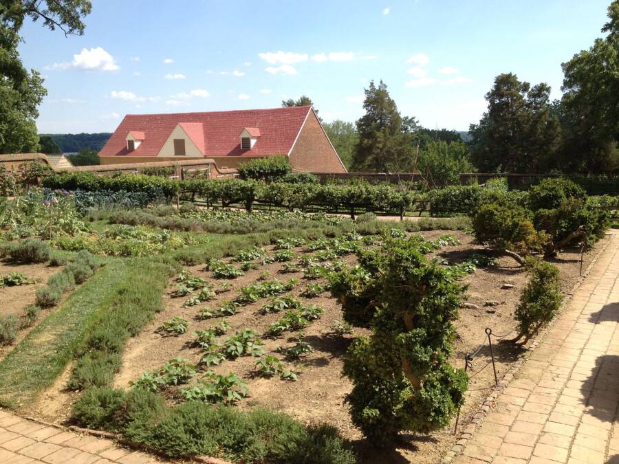 Mount Vernon